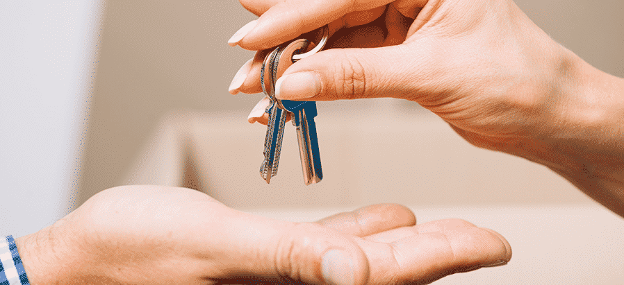 Prestations terrain Kelo'Estate